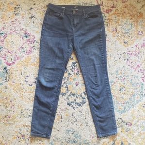 NWOT Loft Outlet Sz 6 Modern Skinny Jeans